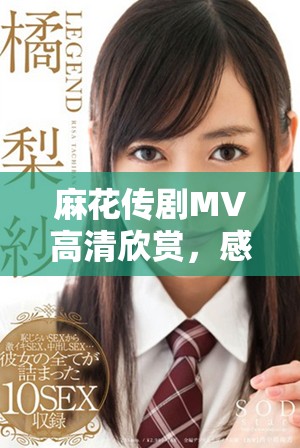 麻花传剧MV高清欣赏，感受美好生活的魅力与乐趣