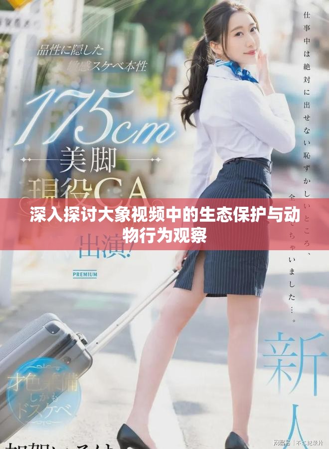 深入探讨大象视频中的生态保护与动物行为观察