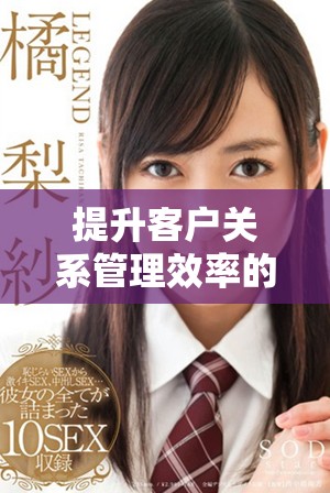 提升客户关系管理效率的全新解决方案在这里等你探索