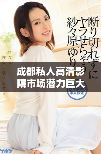 成都私人高清影院市场潜力巨大 未来发展趋势值得关注与投资