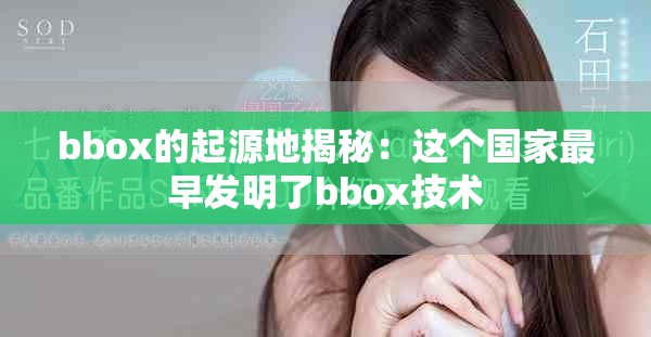 bbox的起源地揭秘：这个国家最早发明了bbox技术