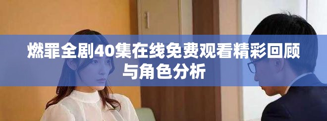 燃罪全剧40集在线免费观看精彩回顾与角色分析