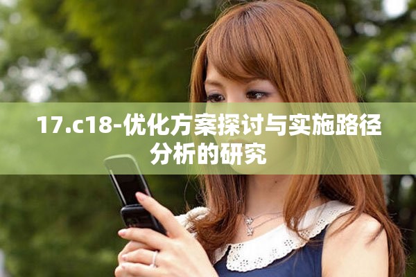 17.c18-优化方案探讨与实施路径分析的研究