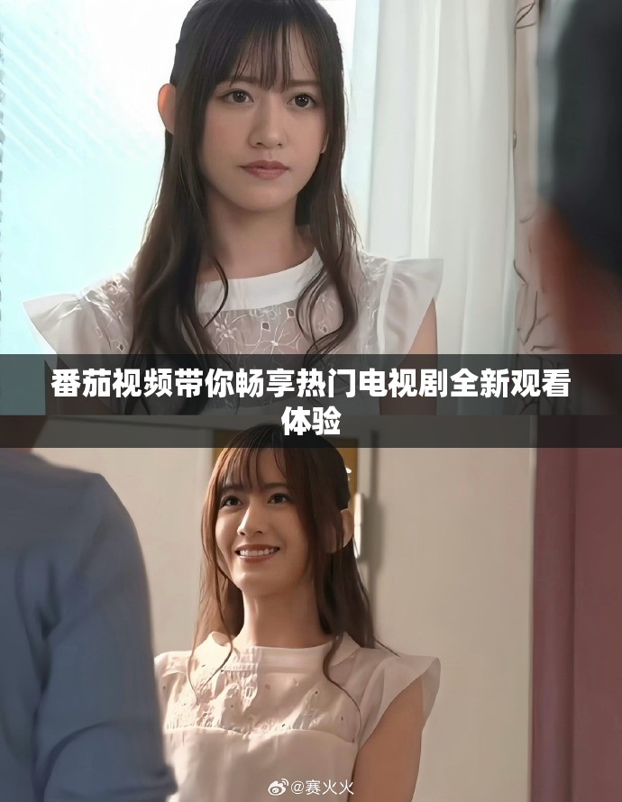 番茄视频带你畅享热门电视剧全新观看体验
