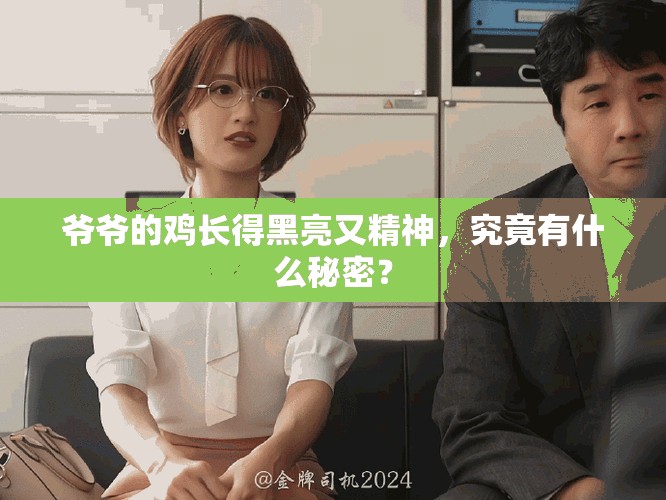 爷爷的鸡长得黑亮又精神，究竟有什么秘密？