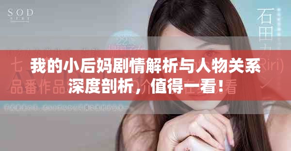 我的小后妈剧情解析与人物关系深度剖析，值得一看！