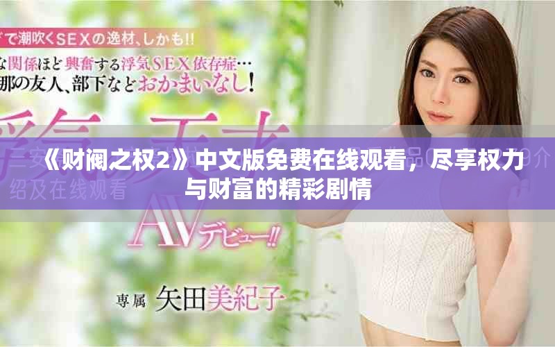 《财阀之权2》中文版免费在线观看，尽享权力与财富的精彩剧情
