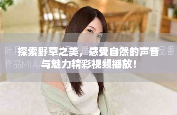 探索野草之美，感受自然的声音与魅力精彩视频播放！