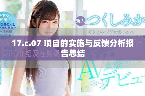 17.c.07 项目的实施与反馈分析报告总结