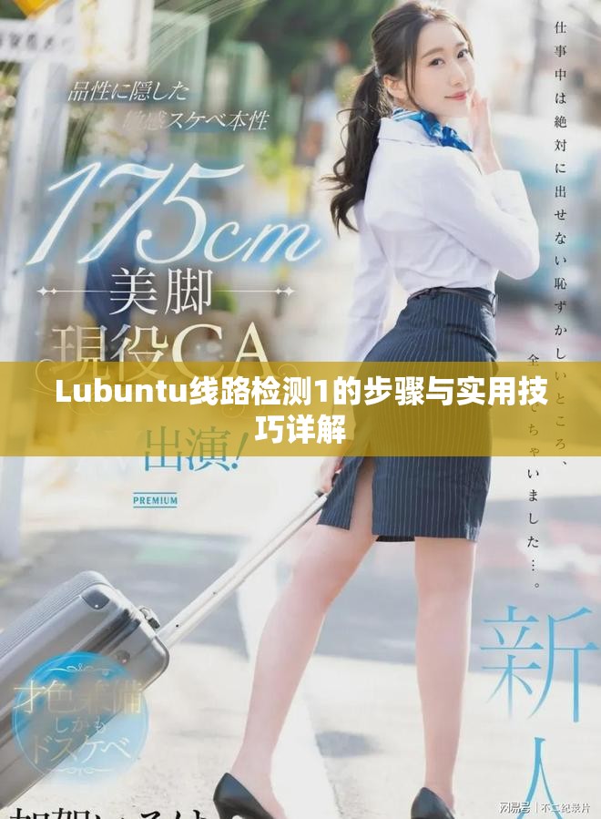 Lubuntu线路检测1的步骤与实用技巧详解