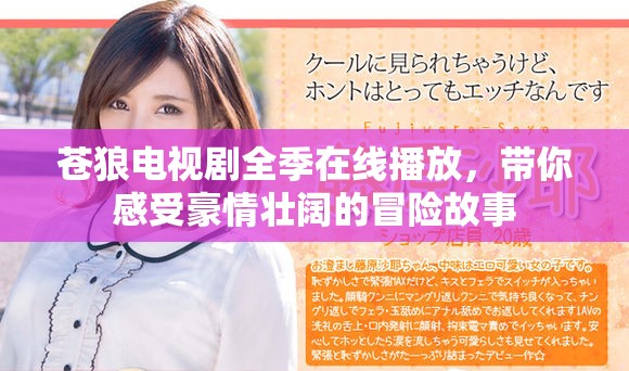 苍狼电视剧全季在线播放，带你感受豪情壮阔的冒险故事