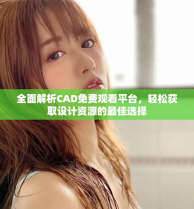 全面解析CAD免费观看平台，轻松获取设计资源的最佳选择
