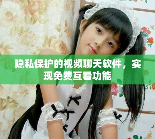 隐私保护的视频聊天软件，实现免费互看功能