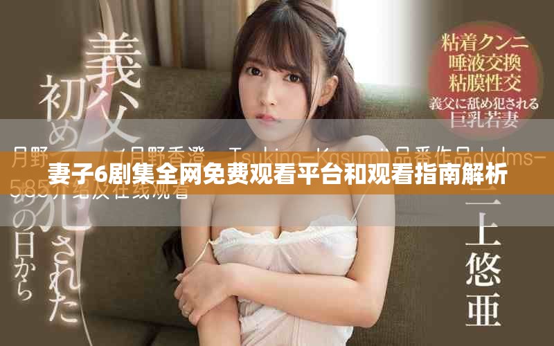 妻子6剧集全网免费观看平台和观看指南解析