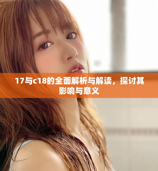 17与c18的全面解析与解读，探讨其影响与意义