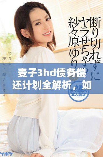 麦子3hd债务偿还计划全解析，如何实现财务健康与可持续发展