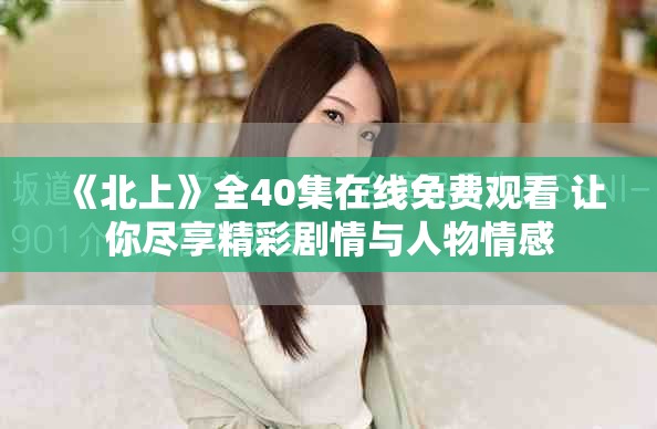 《北上》全40集在线免费观看 让你尽享精彩剧情与人物情感