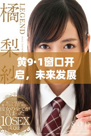 黄9·1窗口开启，未来发展新机遇与挑战解读