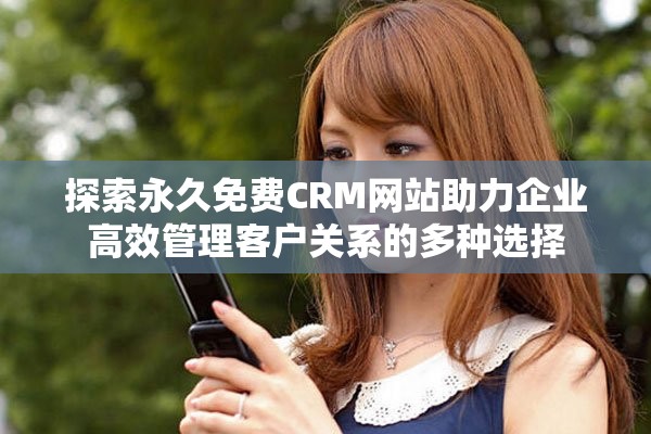 探索永久免费CRM网站助力企业高效管理客户关系的多种选择