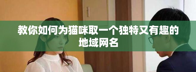 教你如何为猫咪取一个独特又有趣的地域网名
