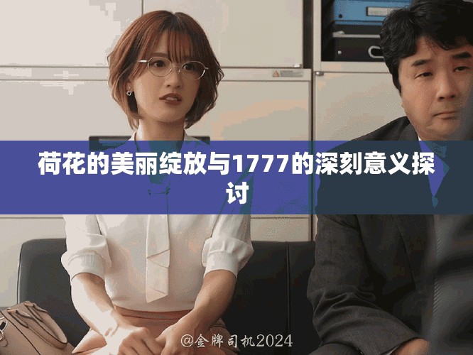荷花的美丽绽放与1777的深刻意义探讨