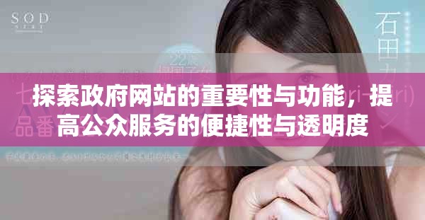 探索政府网站的重要性与功能，提高公众服务的便捷性与透明度