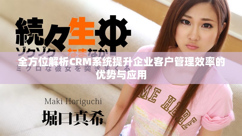 全方位解析CRM系统提升企业客户管理效率的优势与应用
