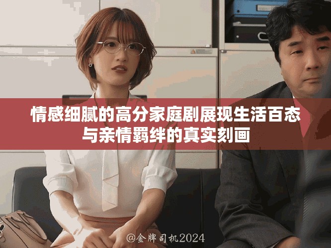 情感细腻的高分家庭剧展现生活百态与亲情羁绊的真实刻画
