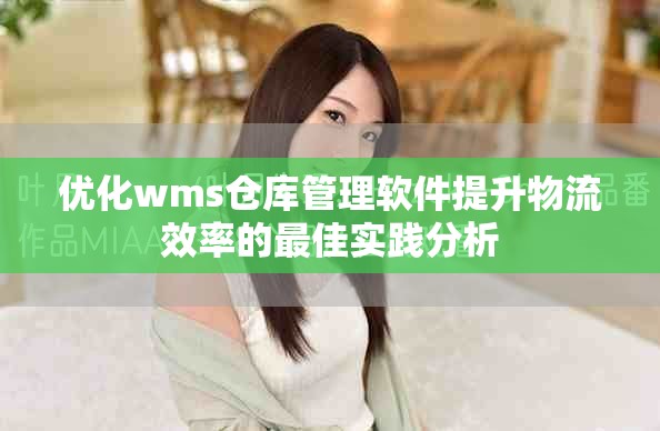 优化wms仓库管理软件提升物流效率的最佳实践分析