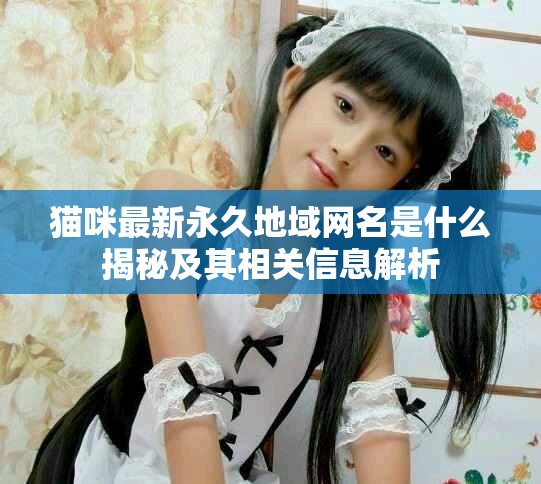 猫咪最新永久地域网名是什么揭秘及其相关信息解析