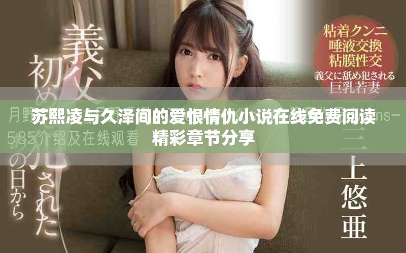 苏熙凌与久泽间的爱恨情仇小说在线免费阅读精彩章节分享