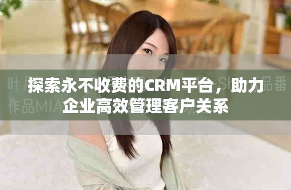 探索永不收费的CRM平台，助力企业高效管理客户关系
