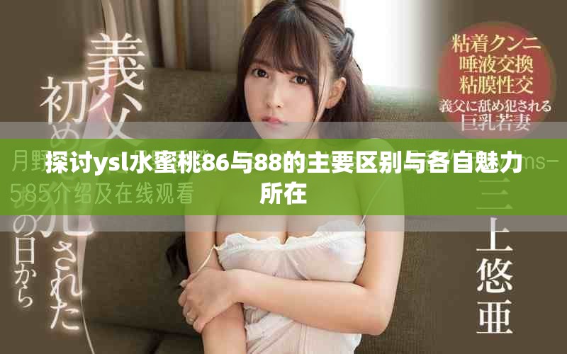 探讨ysl水蜜桃86与88的主要区别与各自魅力所在