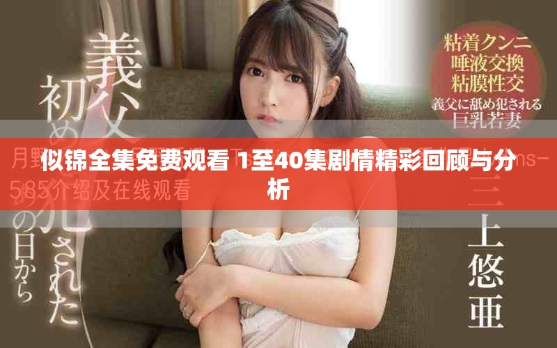 似锦全集免费观看 1至40集剧情精彩回顾与分析