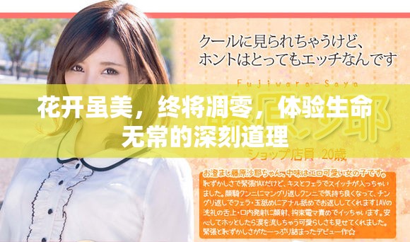 花开虽美，终将凋零，体验生命无常的深刻道理