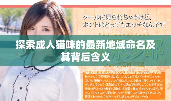 探索成人猫咪的最新地域命名及其背后含义
