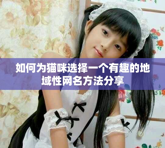 如何为猫咪选择一个有趣的地域性网名方法分享