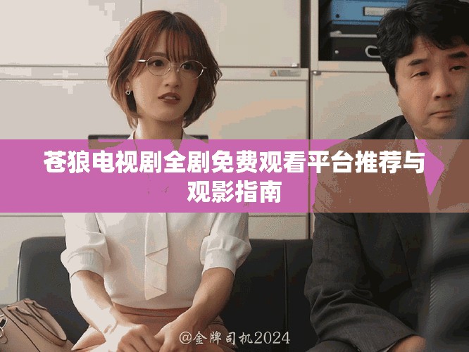 苍狼电视剧全剧免费观看平台推荐与观影指南