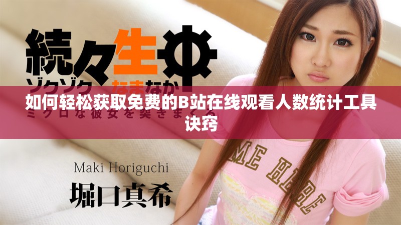 如何轻松获取免费的B站在线观看人数统计工具诀窍