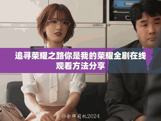 追寻荣耀之路你是我的荣耀全剧在线观看方法分享