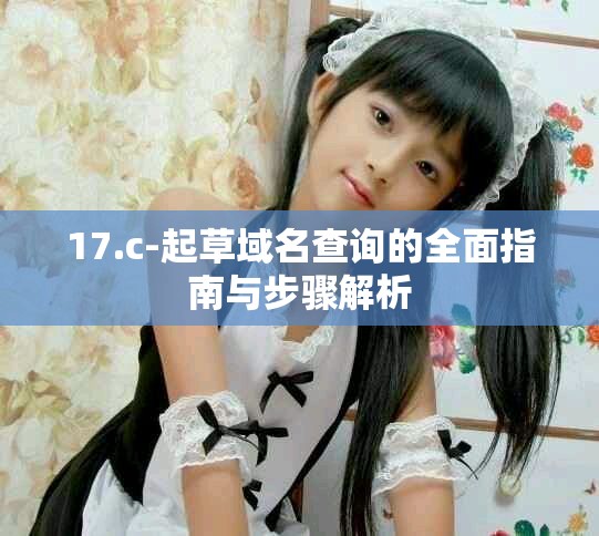 17.c-起草域名查询的全面指南与步骤解析