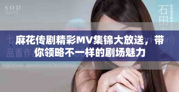 麻花传剧精彩MV集锦大放送，带你领略不一样的剧场魅力