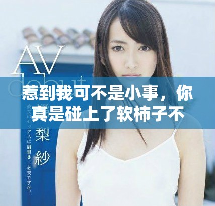 惹到我可不是小事，你真是碰上了软柿子不知分寸呀