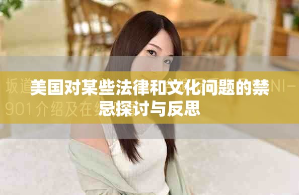 美国对某些法律和文化问题的禁忌探讨与反思