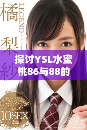 探讨YSL水蜜桃86与88的主要区别与使用效果分析