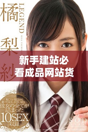 新手建站必看成品网站货源获取途径与实用建议分享
