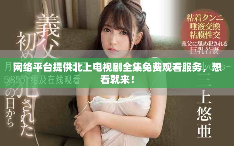 网络平台提供北上电视剧全集免费观看服务，想看就来！