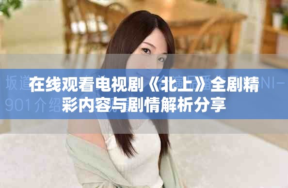 在线观看电视剧《北上》全剧精彩内容与剧情解析分享