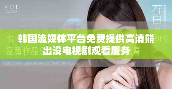韩国流媒体平台免费提供高清熊出没电视剧观看服务