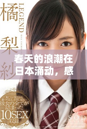 春天的浪潮在日本涌动，感受自然与文化的交融